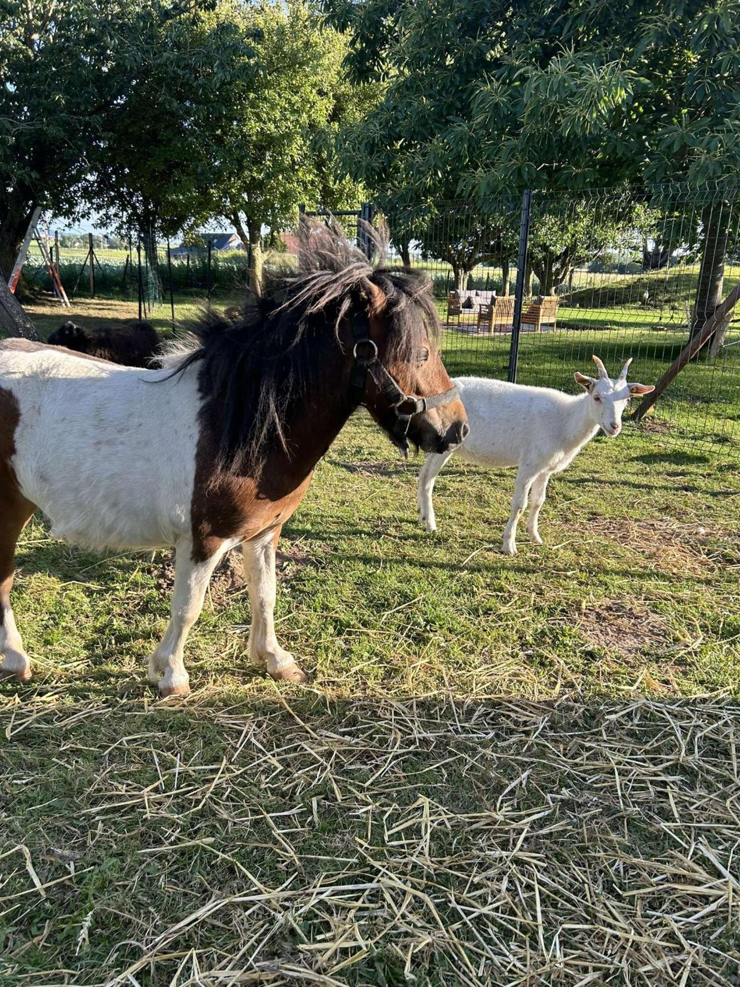 O Coeur Des Monts Et Merveilles Wormhout Esterno foto